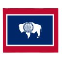 Wyoming Senate Election Winner