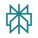 Perplexity AI