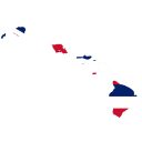 HI-01 Democratic Primary Winner