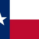 TX-31 House Election Winner